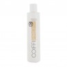 COIFF'IDIS - SHAMPOING COIFFI'PRO NOURRISSANT 250ML