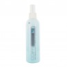 COIFF'IDIS - COIFFI'CARE SOIN 2 EN 1 250ML