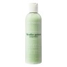 PHYTODESS - PHYTODESS SHAMPOING MENTHE POIVREE 250ML