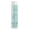 JOICO - JOICO SHAMPOING INNERJOI HYDRATANT 300ML