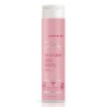 JOICO - JOICO SHAMPOING INNERJOI PRESERVATEUR 300ML