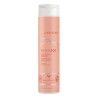 JOICO - JOICO SHAMPOING INNERJOI RENFORÇANT 300ML