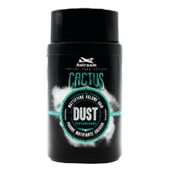HAIRGUM - HAIRGUM DUST CACTUS POUDRE VOLUMISANTE 15G