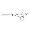 TAKAI - CISEAUX TAKAI AKIO SCULPTEUR 30 DENTS T6.0