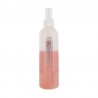 COIFF'IDIS - COIFFI'CARE SOIN 2 EN 1 250ML