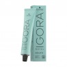 SCHWARZKOPF - IGORA ROYAL HIGHLIFT TUBE 60ML